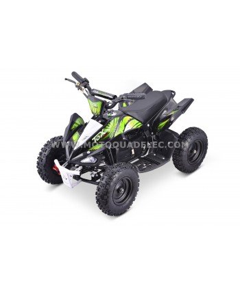 Quad ATV électrique 800W Eco Python Deluxe Miniquad pour Enfant avec  régulateur de vitesse - Vert : : Jeux et Jouets